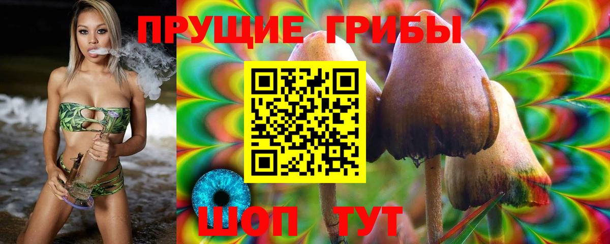 Лесозаводск  Галлюциногенные грибы мицелий  купить наркоту  Вход с VPN 